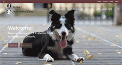 Desktop Screenshot of mullensmallanimalclinic.com
